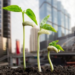 CPO: Umweltschutz Green meetings